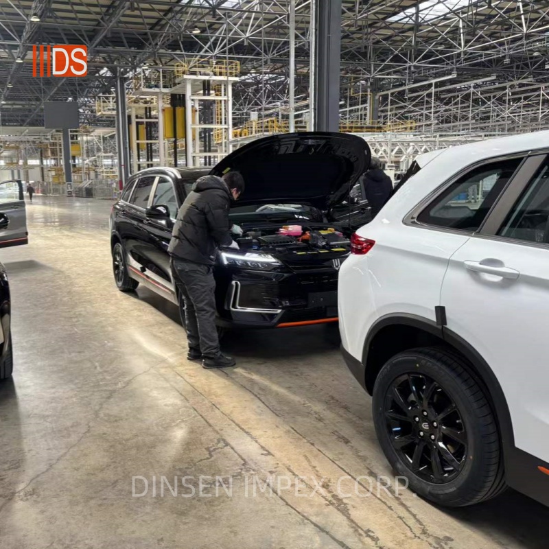 DINSEN Helps Saudi VIP Customers and Opens Up New Markets
