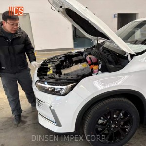 Wesayîtên Enerjiya Nû yên DINSEN (4)