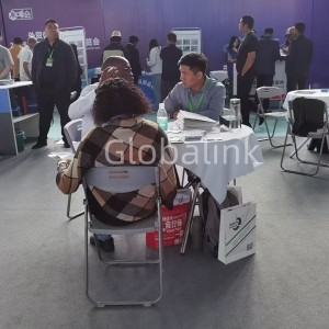 Globalink (10)