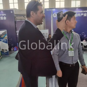 Globalink (13)