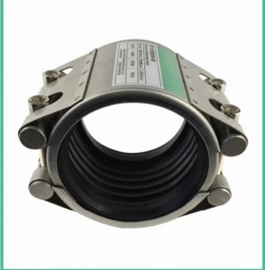 RTD-D Double-clip pipeline repair clamp