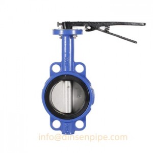 Ductile Iron Valve