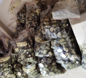 en545 ductile iron pipe Chemical composition