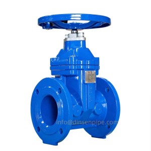 gate valve